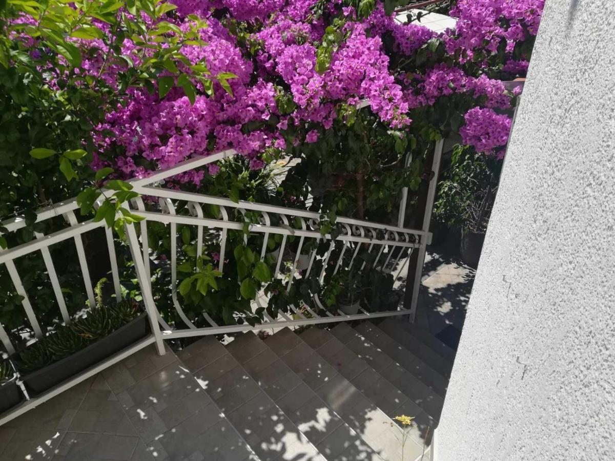 Dalmati House Hotel Brodarica  Exterior photo