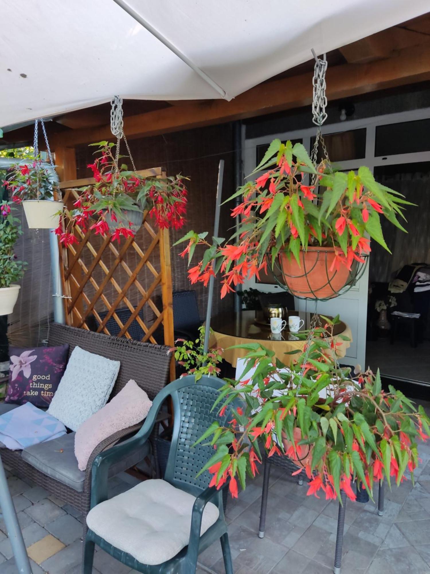 Dalmati House Hotel Brodarica  Exterior photo
